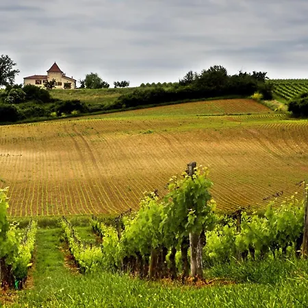 Il Castagno Сассетта