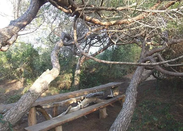 Villa Il Castagno